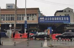 武漢華南海鮮市場元旦起休市，恢復(fù)營業(yè)時(shí)間未定