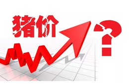 豬價又“變臉”，新一波漲勢來了？農(nóng)業(yè)農(nóng)村部：或持續(xù)到元旦春節(jié)